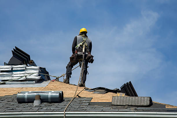 Professional Roof Replacement technician working in Weimar, CA